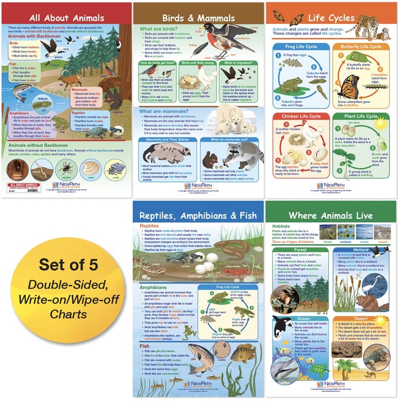 New Path Learning NewPath Learning-94-1501 All About Animals Bulletin Board Chart Set (Pack of 5) - Image 1